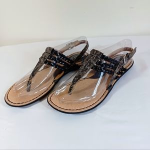 Born BOC Concept Strappy Snakeskin Sandals